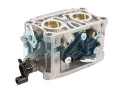 Carburateur Pour Moteur Honda (16100Z0A815)