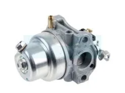 Carburateur Pour Moteur Honda (16100883035)