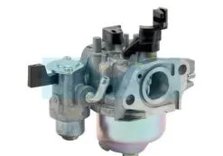 Carburateur Pour Moteur Honda (16100Z4M911)