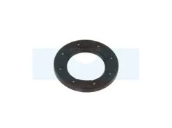 Joint Spi Pour Moteur Briggs & Stratton (495307)
