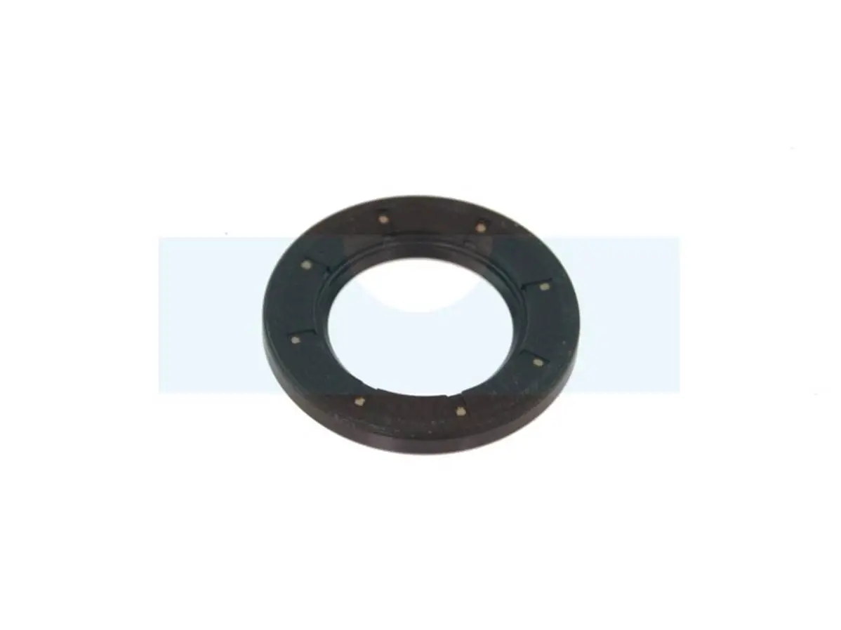 Joint Spi Pour Moteur Briggs & Stratton (495307) 3 Joint Spi Pour Moteur Briggs & Stratton (495307)