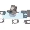 Carburateur Pour Moteur Briggs & Stratton (790120) -Promos pièces de moto Boutique 4305 z big
