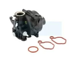 Carburateur Pour Moteur Briggs & Stratton (591160)