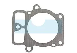 Joint De Culasse Pour Briggs & Stratton (693997)