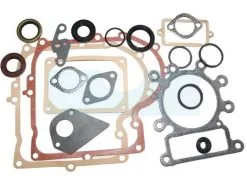 Pochette De Joint Pour Moteur Briggs & Stratton (495993)