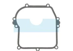 Joint De Carter Pour Briggs & Stratton (799587)