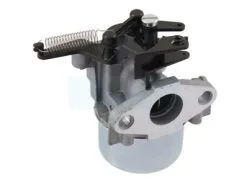 Carburateur Pour Moteur Briggs & Stratton (796608)
