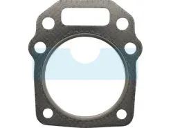 Joint De Culasse Pour Moteur Honda (12251Z1V003)