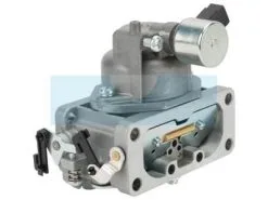 Carburateur Pour Moteur Kawasaki (150040764)