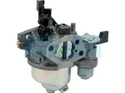Carburateur Pour Moteur Honda (16100Z0S821)