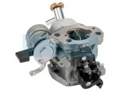 Carburateur Pour Moteur Honda (16100Z1VG01)