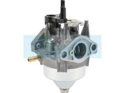 Carburateur Pour Moteur Honda (16100Z8B901)