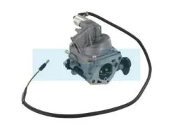 Carburateur Pour Moteur Honda (16100ZJ1843)