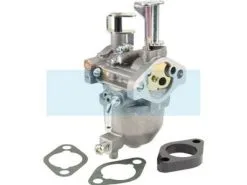 Carburateur Pour Moteur Briggs & Stratton (715473)