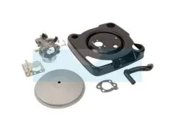 Carburateur Pour Moteur Briggs & Stratton (847393)