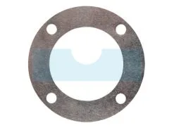 Joint De Culasse Pour Agria (W58264)